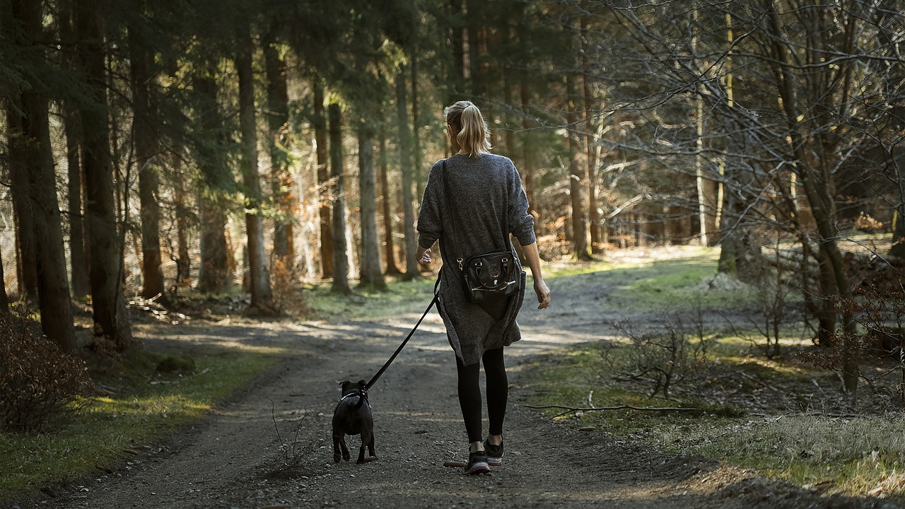 woman, dog, walk-6194660.jpg